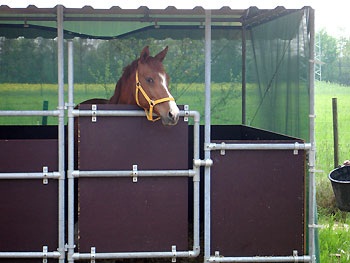 Tier und Stall